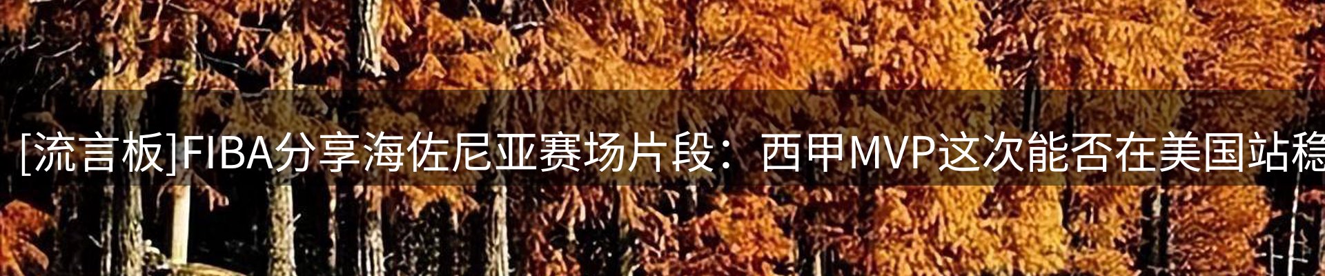 新闻消息